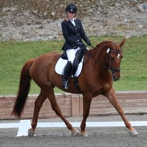 Meet your Posher, Louise